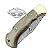 Walnut Wood 6.5'' Custom Handmade Damascus Steel Brass Bloster Back Lock Folding Pocket Knife 100% Prime Quality With Sharpening Rod Plus Real Buffalo Horn Stainless Steel Pocket Knive 