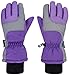 Simplicity Women's 3M Thinsulate Waterproof Outdoors Ski Gloves,S,Purple