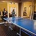 Harvil Outsider Table Tennis Table