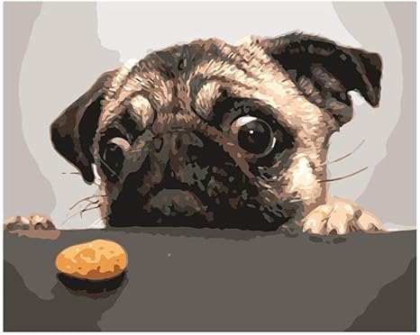 Amazon Co Jp 犬のビスケットdiyキャンバスの油絵による数字の写真壁アート現代の子供と大人の家の装飾のギフト 40x50cm 16xinch フレームなし ホーム キッチン