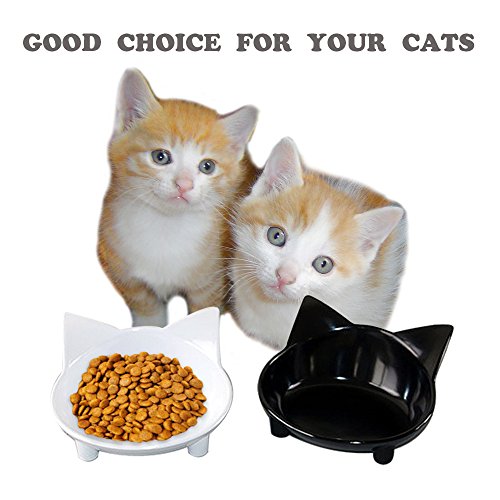 Lorde Cat Bowl, Shallow Cat Food Bowls,Wide Cat Dish,Non Slip Cat