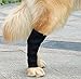 Juzi Dog Hock Braces Rear Leg Joint for Knee Compression Wraps Protect Wounds and Prevent Acl Torn Sprains and Injuries, Help with Relaxed Treat Arthritis (1 Pair)