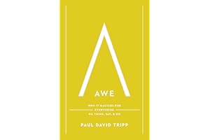 Awe: Why It Matters for Everything We Think, Say, and Do