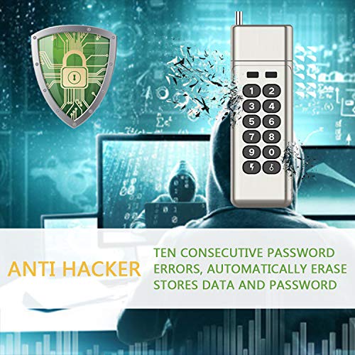 Pampfort Military Level AES 256bit Standard Encrypted USB Drive, with