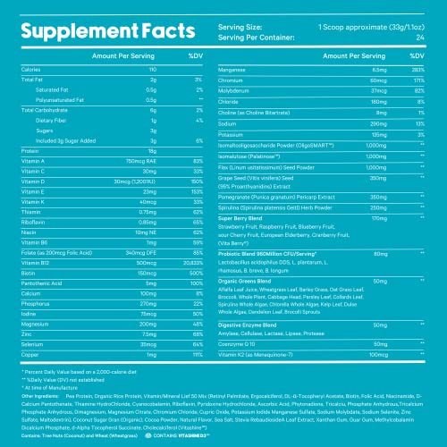 LyfeFuel Meal Replacement Shakes AllinOne PlantBased Nutrition