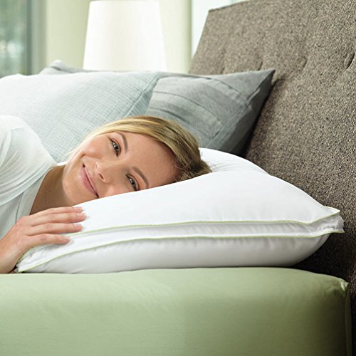 brookstone biosense select pillow