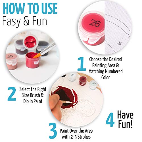 Paint by Numbers for Adults On Canvas Painting Kit Rolled WrinkleFree