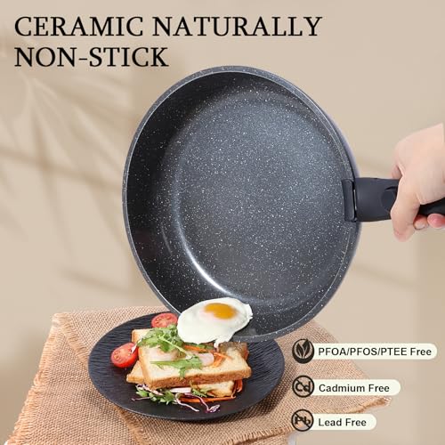 GiPP Ceramic Coating Pots and Pans Set Non Stick, 11Pcs Detachable Handle Cookware Sets, Non Toxic Induction Kitchen Pot and Pan with Removable Handle, Healthy RV Cookware, Dishwasher＆Oven Safe Grey