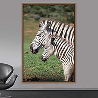 Framed Canvas Wall Art Zebra Animals Dramatic Farmhouse/Country Living Room Multicolor Photography Zebra - 16x24 inches