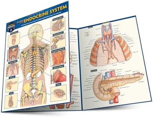 Nervous System (Quick Study Academic): BarCharts, Inc