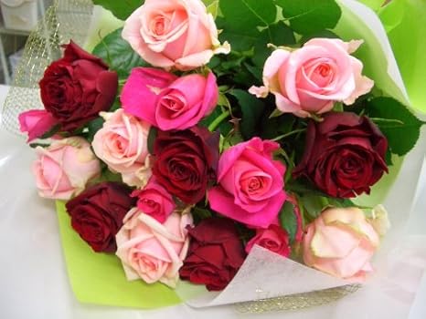 Amazon 5 12配達可能 バラの花束 母の日 生花 16本 5 150円 プレゼント 誕生日 ギフト 人気 ランキング メッセージカード無料 花束 オンライン通販