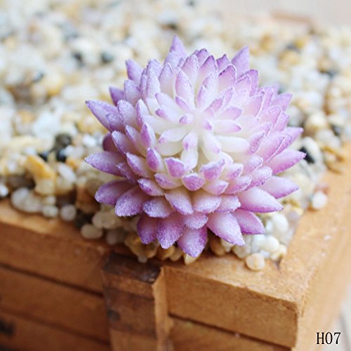 Dutch Brook 3 Pcs Different Succulents Artificial Cactus Plants for Office Home Garden Decor (Sent Randomly) (3 Pcs-1)
