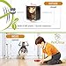 PetCitrus Cat Door - Large (Outer Size 9.2