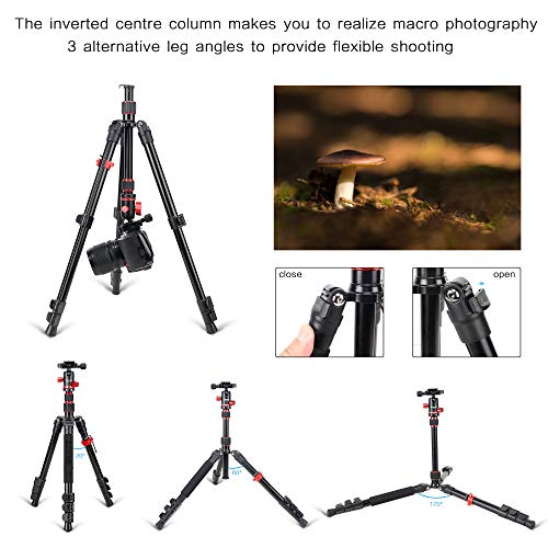 Zomei M5 Camera Tripod,Lightweight Travel Aluminum Tripod Monopod Compact Portable Photography Tripod Stand with 360 Degree Ball Head and Phone Clip for DSLR Cameras, Smartphone