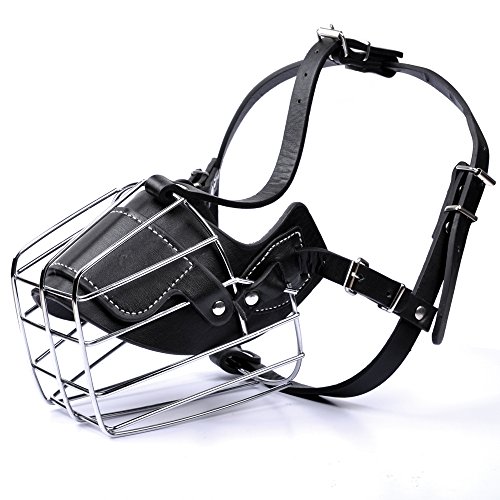 best basket muzzles reviews peareason7’s blog