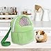1 PCS Portable White Mesh Bag,African Hedgehog Hamster Breathable Pet Dog Carrier Bags,Handbags Puppy Cat Travel Backpack (M, White Mesh - Green)
