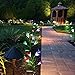 Feeke Outdoor Solar Garden Lights LED Solar Garden Decorations Lights Outdoor Path Light, In-Ground Lights, Outdoor Yard Decor Flowers for Patio Backyard Gardening Gifts (2 Packs Purple and White)