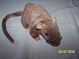 Ty Beanie Babies - Tiptoe the Rat