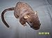 Ty Beanie Babies - Tiptoe the Rat