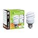 Xtricity Compact Fluorescent Light Bulb T2 Spiral, E26 Base, 9W (40 Watt Equivalent), 5000k Daylight, 540 Lumens, CFL, 120V - UL Listed, (4 Pack)