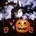 SUPERJARE Hallween Punpkin and Dog - Large