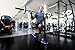 Venom Knee Sleeve Compression Brace - Elastic Support & Side Stabilizers, Runner's Knee, Jumper's Knee, Arthritis Pain, ACL, Basketball, Soccer, Crossfit, Lifting, Running, Sports, Men, Women (L)