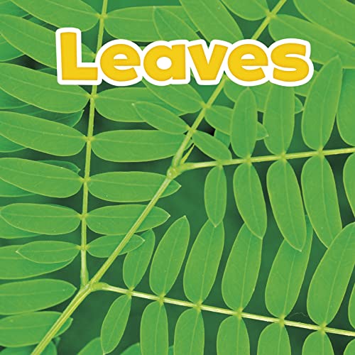 Plant Parts Leaves at Amazon