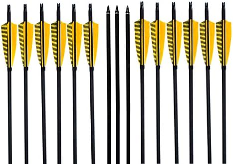 Albertu Carbon Arrows 31'' Targeting Hunting Archery Arrows Natural Feather Fletching Arrows with Screw-in Replacement Field Points (6 arrows)