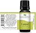 Plant Therapy Cajeput Essential Oil 10 mL (1/3 oz) 100% Pure, Undiluted, Therapeutic Grade