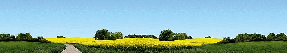 Faller Railway Game Toy, 168 to 1188 Months, Includes Tracks, Trains, Accessories