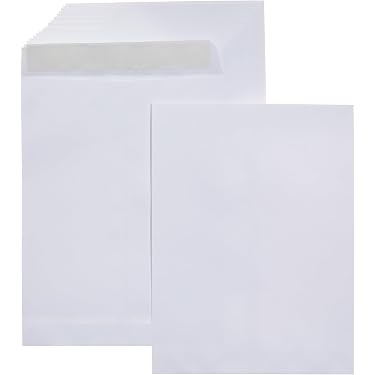 10 Enveloppes Autocollantes Marron 9 X 12 Pouces Staples - Neuf, Pour Catalogues Ou Documents