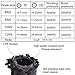 EVIL ENERGY 12AN Nylon Braided CPE Fuel Line Kit 10FT