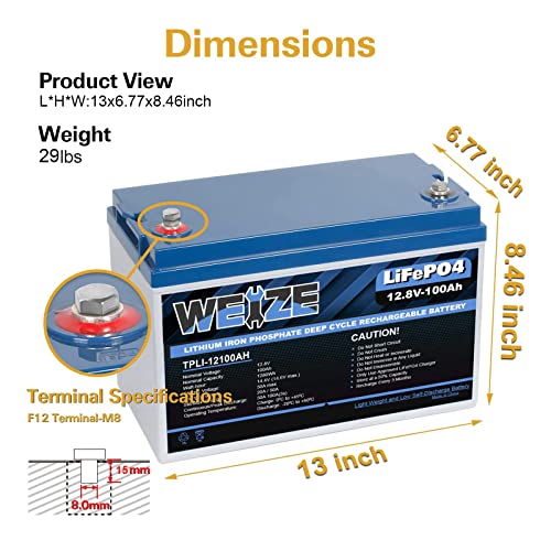 WEIZE 12V 100AH LiFePO4 Lithium Battery, Builtin Smart BMS, Up to 8000