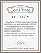 OFEEFAN Women's Cold Shoulder Loose Fit Flowy Style Dress Tshirt Loose Dress White L