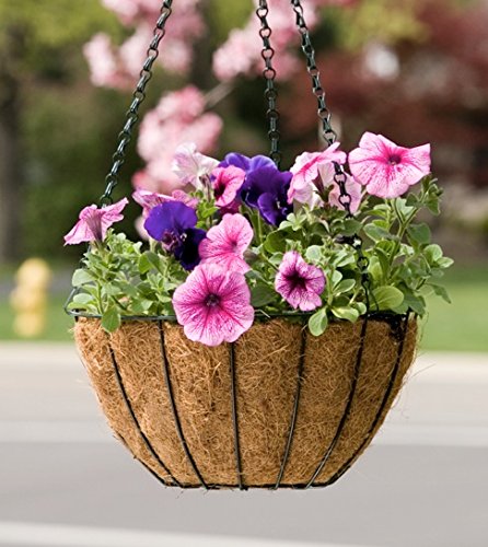Panacea 88500 Growers Series Hanging Basket, Green, 12-Inch