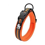 Pettom Adjustable Nylon Pet Collar Padded 4/5