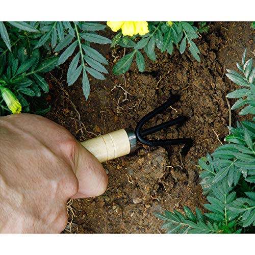 Huture Mini 3pcs Durable Spade Shovel Rake for Plant Potted Flowers Seedlings Loose Soil Erramientas Bonsai Wooden Handle Perfect Size for Little Hands Light Use Indoor Outdoor Gardening Care Gifts - Thumbnail 6