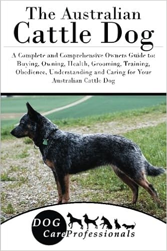 cattle dog grooming