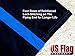 US Flag Factory - 3x5 FT Thin Blue Line Flag (Sewn 3-Stripes) for Police Officers (Grommets) - Blue Lives Matter Flag - Outdoor SolarMax Nylon - 100% Made in America (3x5 FT)