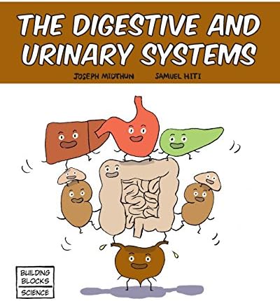 The Digestive and Urinary Systems (Building Blocks of Life Science 1/Hardcover)