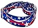 Country Brook Petz - HossFit Jr Wide Martingale Dog Collar - Americana Collection Featuring Patriotic Designs (Patriotic Tribute, Medium)
