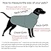 PETCEE Black Dog Winter Coat XL, Waterproof, Modern Style, Collared Neck, Zipper Closure, Machine Washable, Polyester, 50 Pounds and Up, Medium to Large Dogs