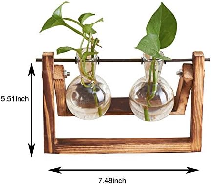 Janicestyle Vintage Solid Wood Bracket Glass Vases - Hydroponic Plant Receptacle - Tabletop Decoration - Test Tube Vase