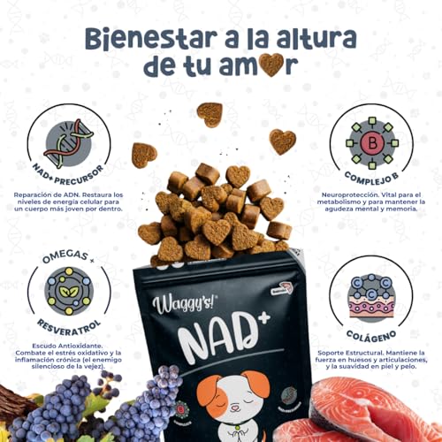 Waggy’s NAD+ - Suplemento Longevidad y Antiedad Perros | Energía, Prevención y Función Cognitiva | Salud Celular y Vitalidad | Precursor NAD+, Complejo B, Resveratrol y Colágeno | 60 Soft Chews