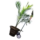 Harper Trucks Steel Potted Plant and Pot Mover with 8&rdquo; Flat-Free Wheels