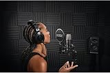 RØDE NT1 Signature Series Large Diaphragm Condenser Mic with Shock Mount view 2