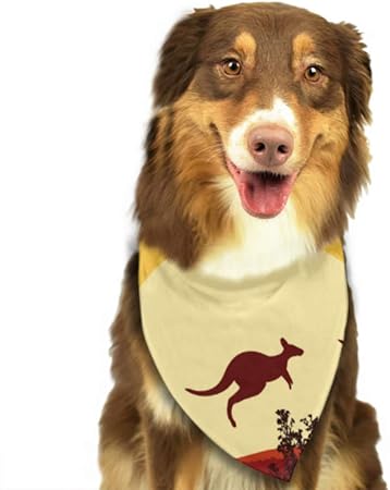 sunset pet and supplies