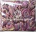 Merino and Rayon Derived from Bamboo Fiber Blend. Super Soft Combed Top Roving for Hand Spinning, Needle Felting, Wet Felting, soap Making and Dryer Balls. Golden Dawn