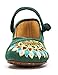 AvaCostume Women's Buddhism Totem Embroidery Casual Mary Jane Shoes, Green 39