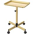 FLOLXNB Salon Tray Cart Premium Aluminum Tattoo Tray, Champagne Gold Salon Rolling Tray, Height Adjustable Utility Trolley, S